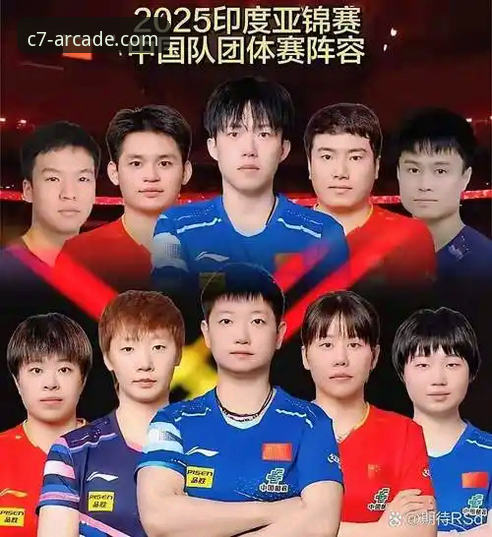 C7电子登录使用指南 3个关键转折点解密中国男乒世锦赛逆转密码,C7电子平台用户必看的高能复盘